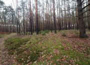 Grunt w otoczeniu lasów, Gmina Lubiszyn miniaturka 7