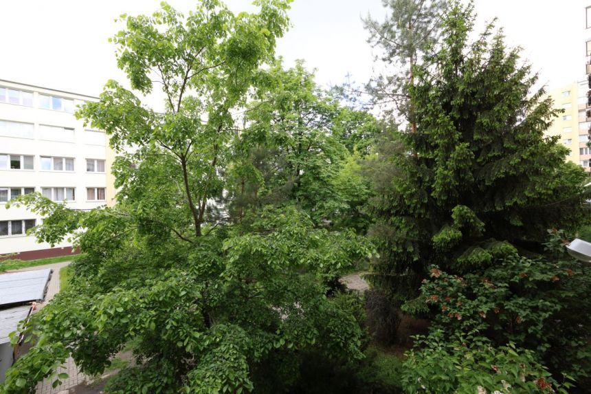 Warszawa Grochów, 2 000 zł, 33.89 m2, z balkonem miniaturka 11