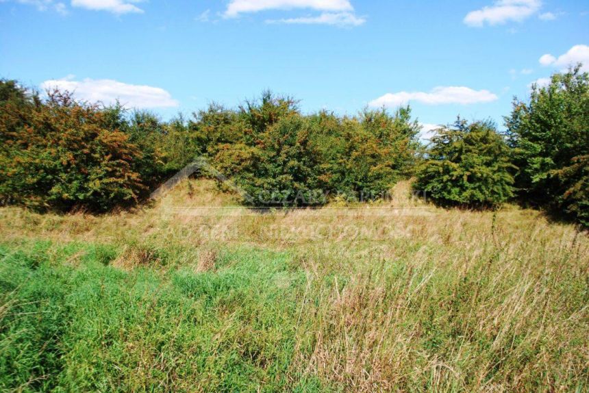 Snopków, gmina Jastków, działka budowlano-rolna, pow. 1,61 ha miniaturka 12