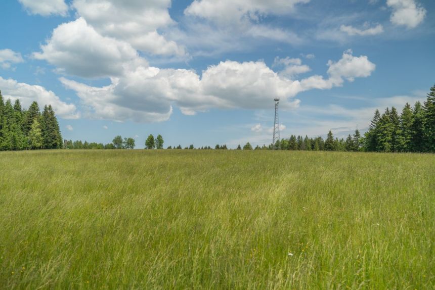 Mochnaczka Wyżna, 1 600 000 zł, 6.1 ha, budowlana miniaturka 6