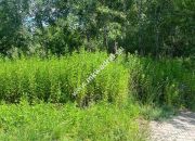 Działka budowlana 6577 m2 Radonie z MPZP miniaturka 2