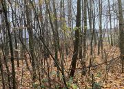 Ignatów, 80 000 zł, 33 ar, leśna miniaturka 2