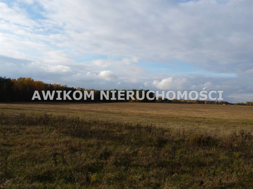 Wycześniak, 1 625 700 zł, 16.26 ha, rolna - zdjęcie 1