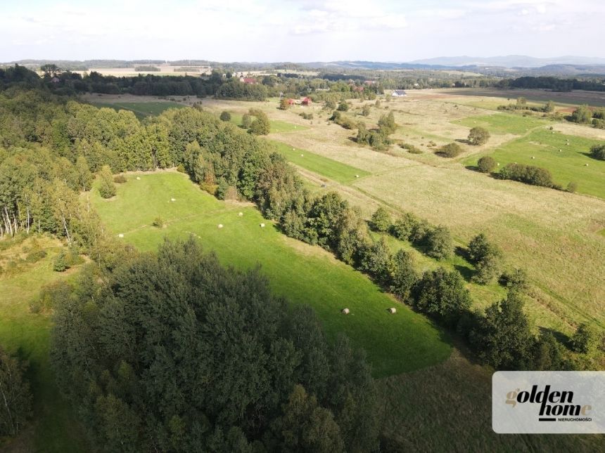 Grudza, 420 000 zł, 60 ar, w kształcie trapezu miniaturka 8