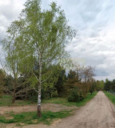 Przy Puszczy, budowlana, idealna na 2lokalowiec