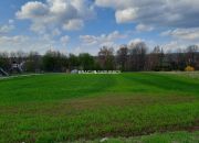 na sprzedaż działkę o powierzchni 2900 m2 miniaturka 1