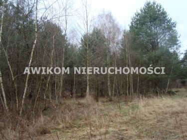 Ojrzanów, 700 000 zł, 1.33 ha, siedliskowa