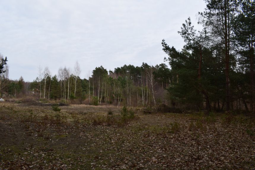 Działki pod budownictwo 13,87a - Wysoka Głogowska miniaturka 2