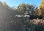działka inwestycyjna Kijewko miniaturka 3