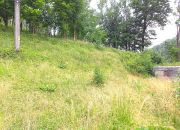 Duża działka z domem do remontu miniaturka 11