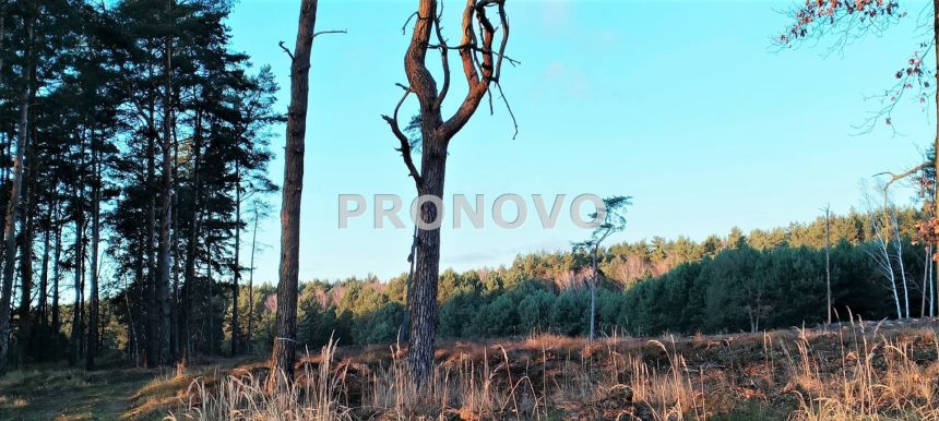 Nieruchomość gruntowa Szczecin Wielgowo Żywiczna miniaturka 3