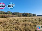 Bieszkowice, 500 000 zł, 2.69 ha, siedliskowa miniaturka 10