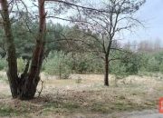 Rezerwacja, Puszcza Notecka, działka budowlana miniaturka 11