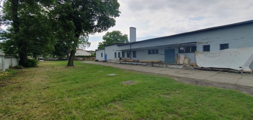 Borowa 9 000 zł 35000 m2 miniaturka 7