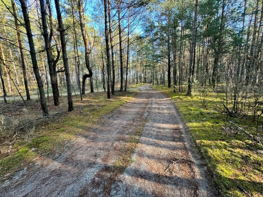 Działka leśna nad Pilicą-Ostrów gm. Aleksandrów miniaturka 16