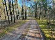 Działka leśna nad Pilicą-Ostrów gm. Aleksandrów miniaturka 16