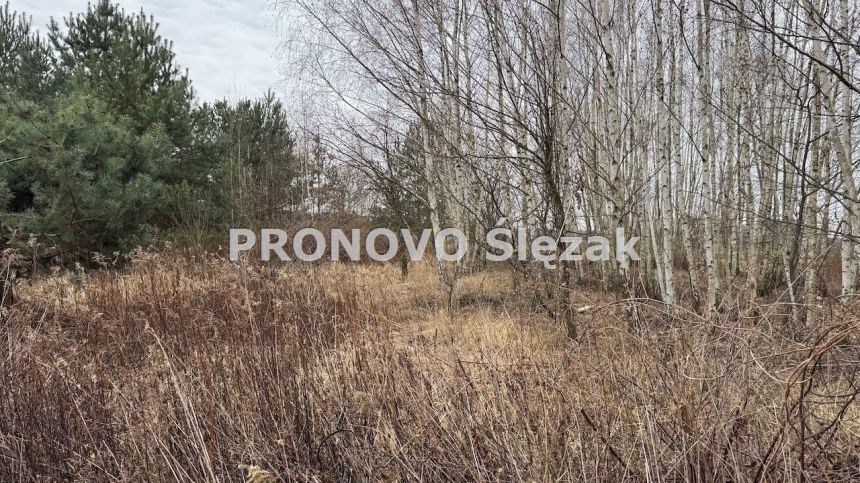 Działka 7000 m², Osolin k. Obornik Śląskich miniaturka 5