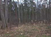 Radość rezydencyjna działka 3050m2 Zbójna Góra miniaturka 4