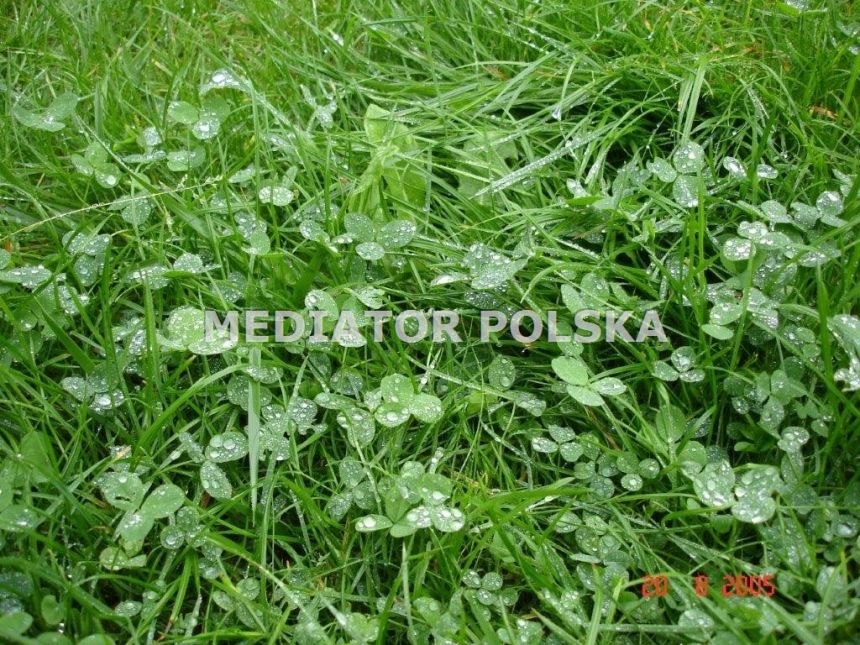 Działka rolna przy drodze krajowej nr 46 miniaturka 1