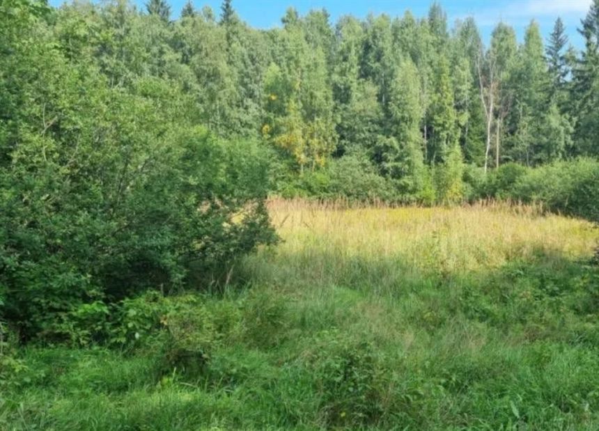 Ciekawa działka budowlana w Michałowicach miniaturka 2