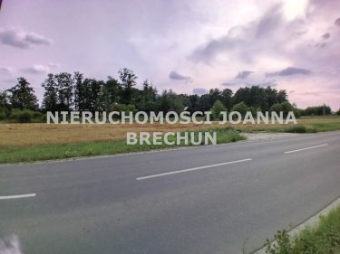 Tyniec Mały, 3 800 000 zł, 1.18 ha, przyłącze wodociągu