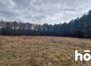 Działka 1,37 ha przy lesie | Zabudowa zagrodowa miniaturka 9