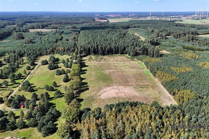 Okolica jeziora Dołgie i kompleksów leśnych. miniaturka 7