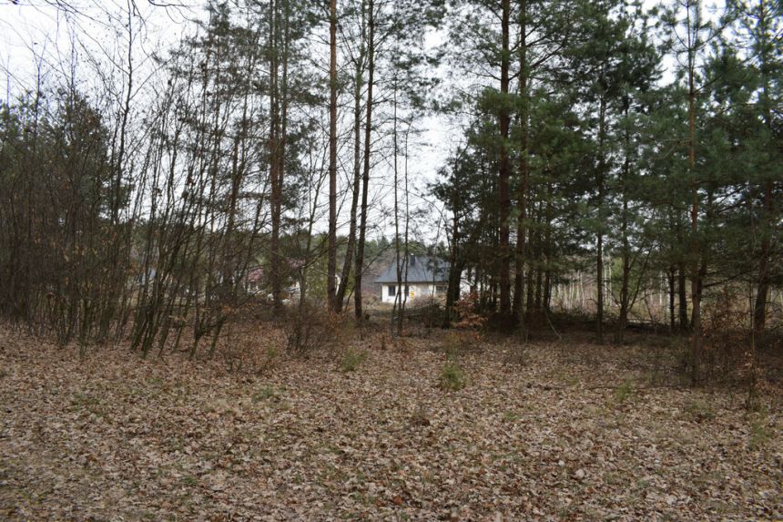 Działki pod budownictwo 13,87a - Wysoka Głogowska miniaturka 6