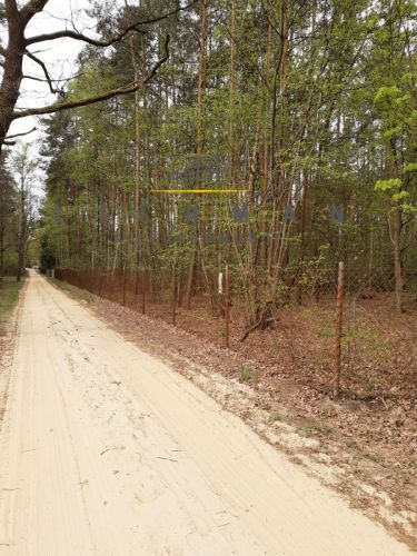 Cyprianów, 220 000 zł, 10.11 ar, przyłącze prądu