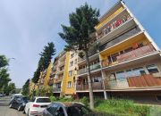 Mieszkanie w świetnej lokalizacji ul. 22 Stycznia miniaturka 1