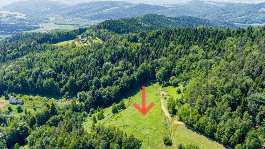 Działka budowlana- Tropie- Gródek nad Dunajcem miniaturka 2