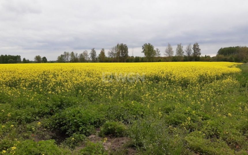 Wierzbowa, 150 000 zł, 60 m2, ogrzewanie piec miniaturka 7