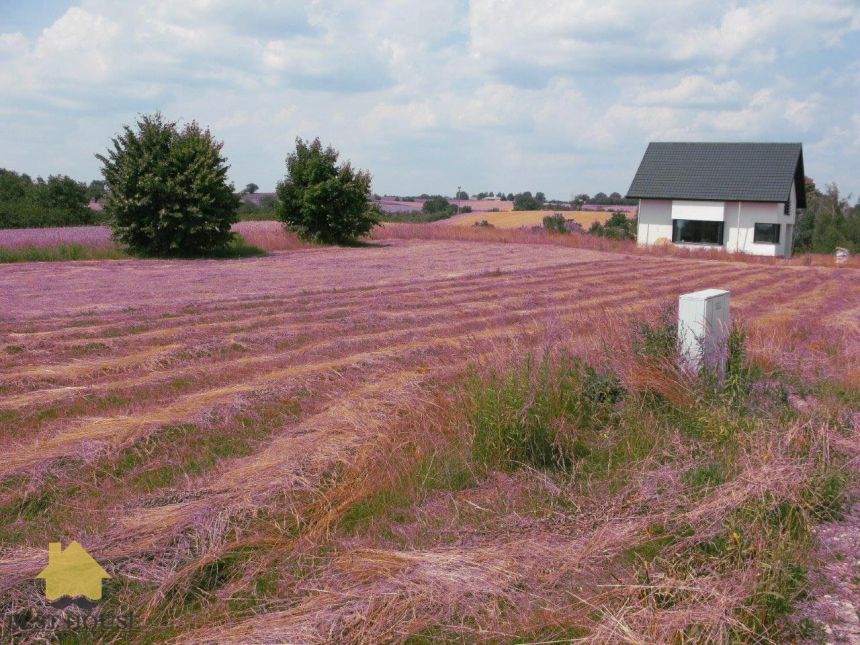 Działka budowlana sprzedaż Jastków 1350 m2 miniaturka 4
