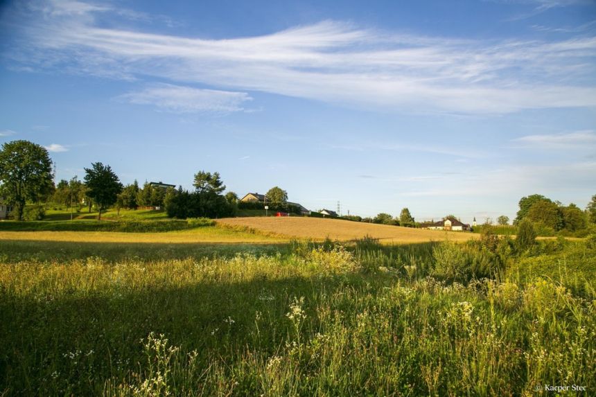 Działka budowlana- Siemiechów- Małopolska miniaturka 4