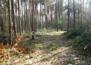 Siestrzeń, 2 000 000 zł, 1.15 ha, przyłącze wodociągu miniaturka 2