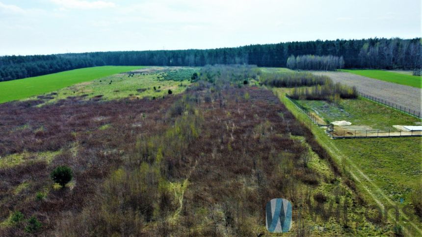 Ludwikowo, 653 400 zł, 1.98 ha, przyłącze prądu miniaturka 6