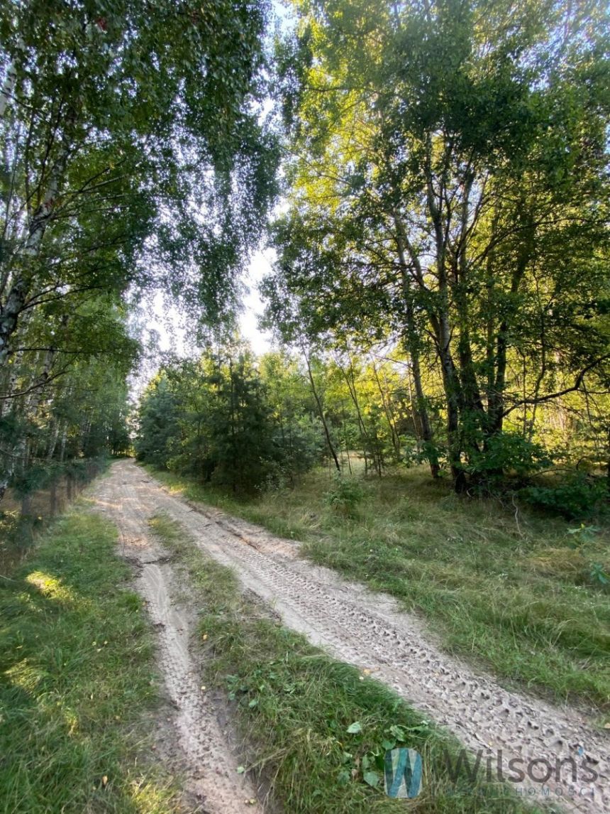 Niemianowice, 80 000 zł, 13.22 ar, przyłącze prądu miniaturka 6