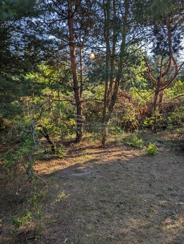 Dom Letniskowy - Rozpłucie drugie miniaturka 7