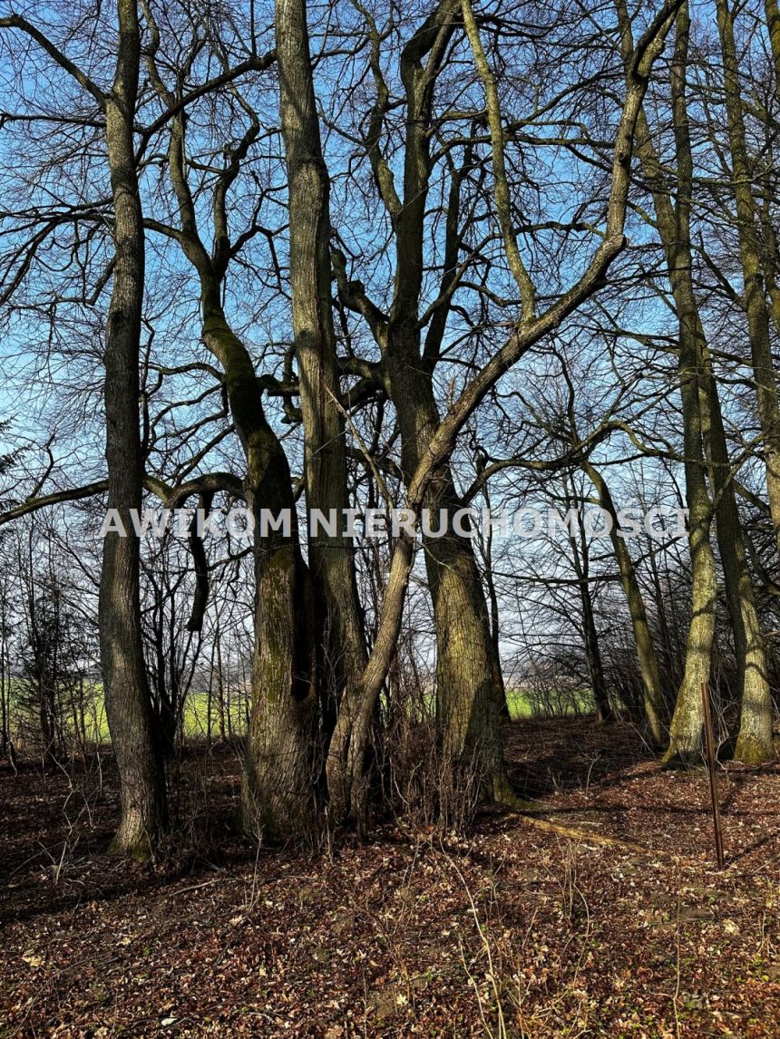 Banie Mazurskie, 850 000 zł, 240 m2, dworek miniaturka 21