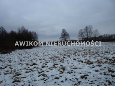Huta Żabiowolska, 700 000 zł, 50 ar, przyłącze wodociągu