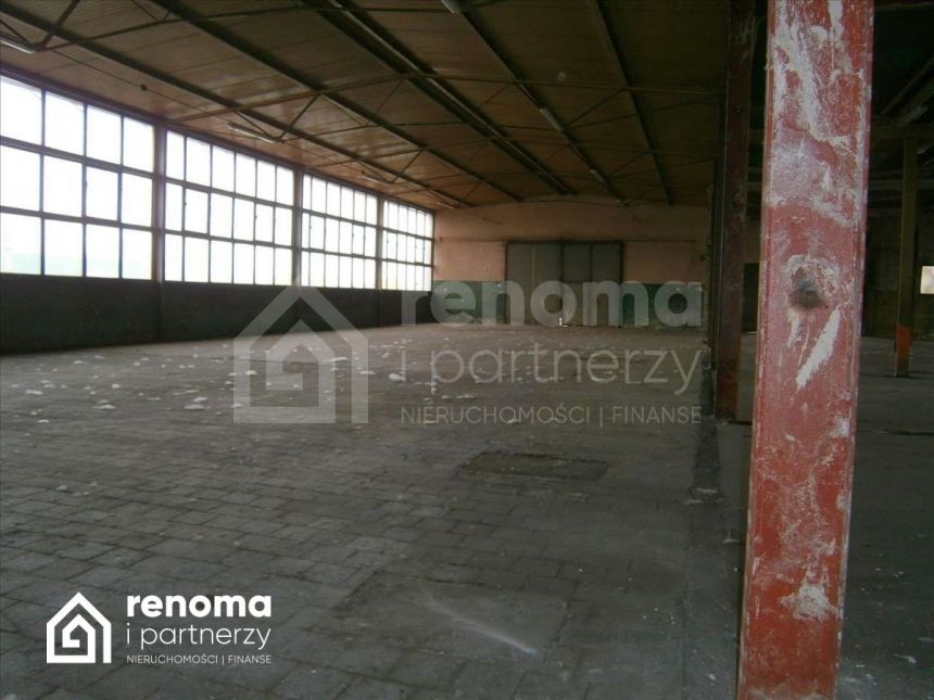 Koszalin, 13 020 zł, 1085 m2, pietro 1 miniaturka 2