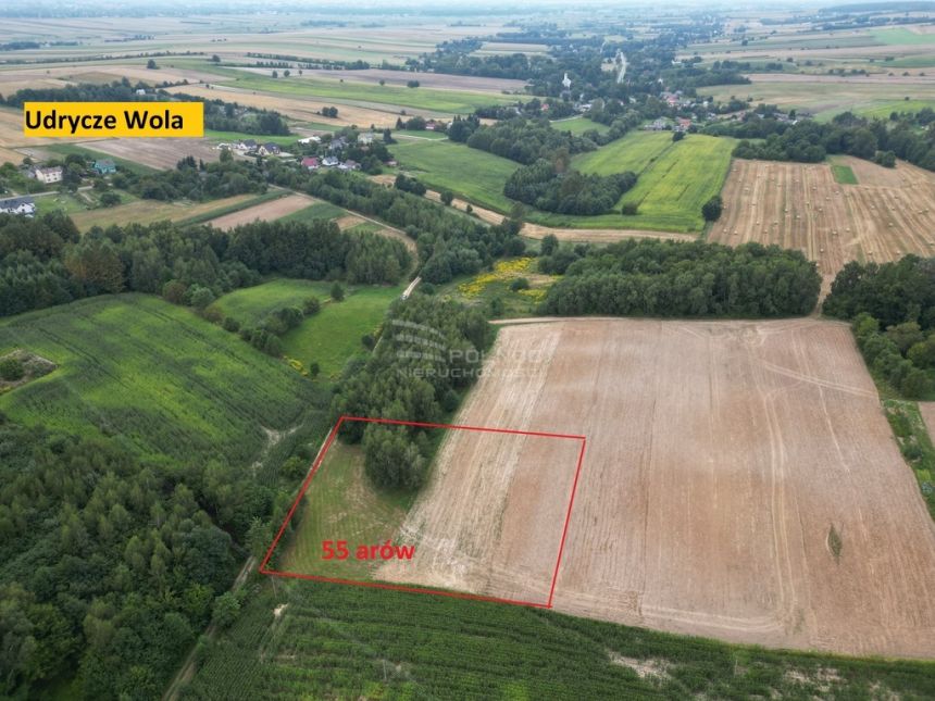 Na sprzedaż pole i łąka w Udryczach. 1.11 ha miniaturka 5