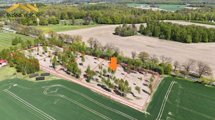 Duża działka z warunkami – Dawidy, 5306 m² - zdjęcie 1
