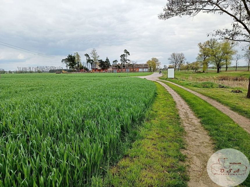 Siedlisko na uboczu rzeka staw 6 km Pyzdry miniaturka 6