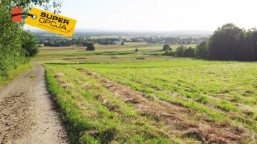 Odrzykoń 215 000 zł 37.56 ar