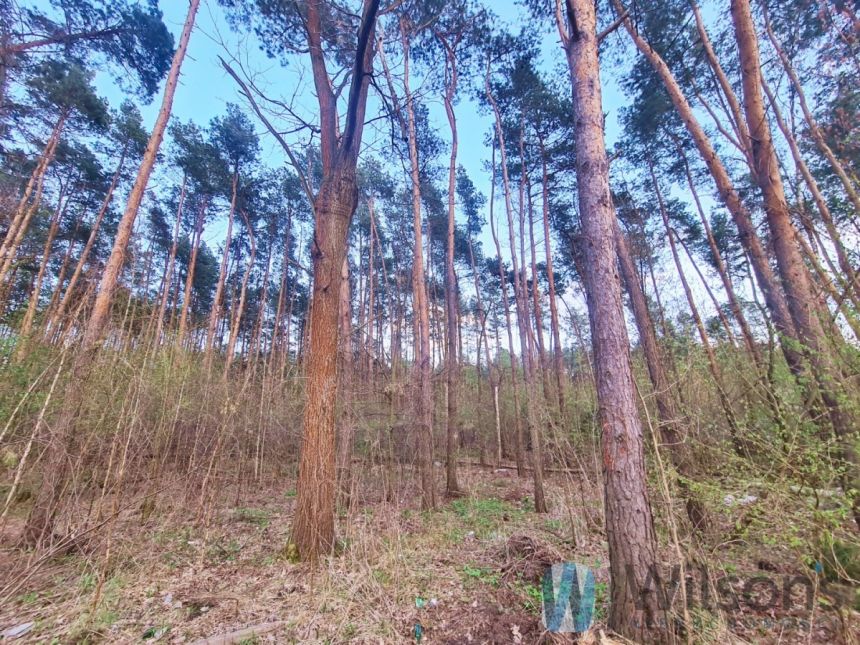 Marki, 695 000 zł, 110 m2, pietro 1 miniaturka 13