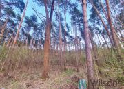 Marki, 695 000 zł, 110 m2, pietro 1 miniaturka 13