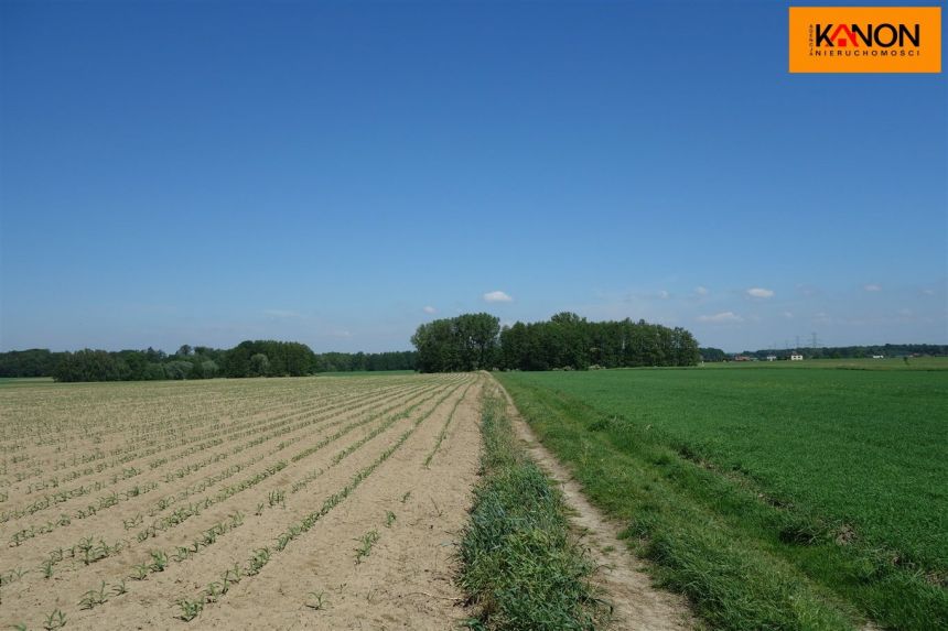 Skoczów 630 000 zł 1.16 ha miniaturka 6