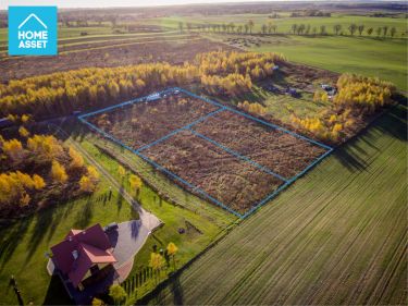 Gołębiewo Wielkie, 270 000 zł, 30 ar, przyłącze prądu