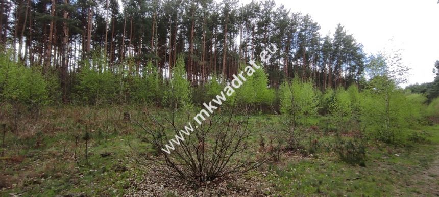 Piękna działka otoczona lasem 2 316 m2, Czarny las miniaturka 10